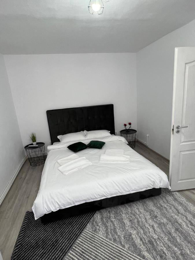 Blue Alpin Straja Apartment Vulcan  Ngoại thất bức ảnh