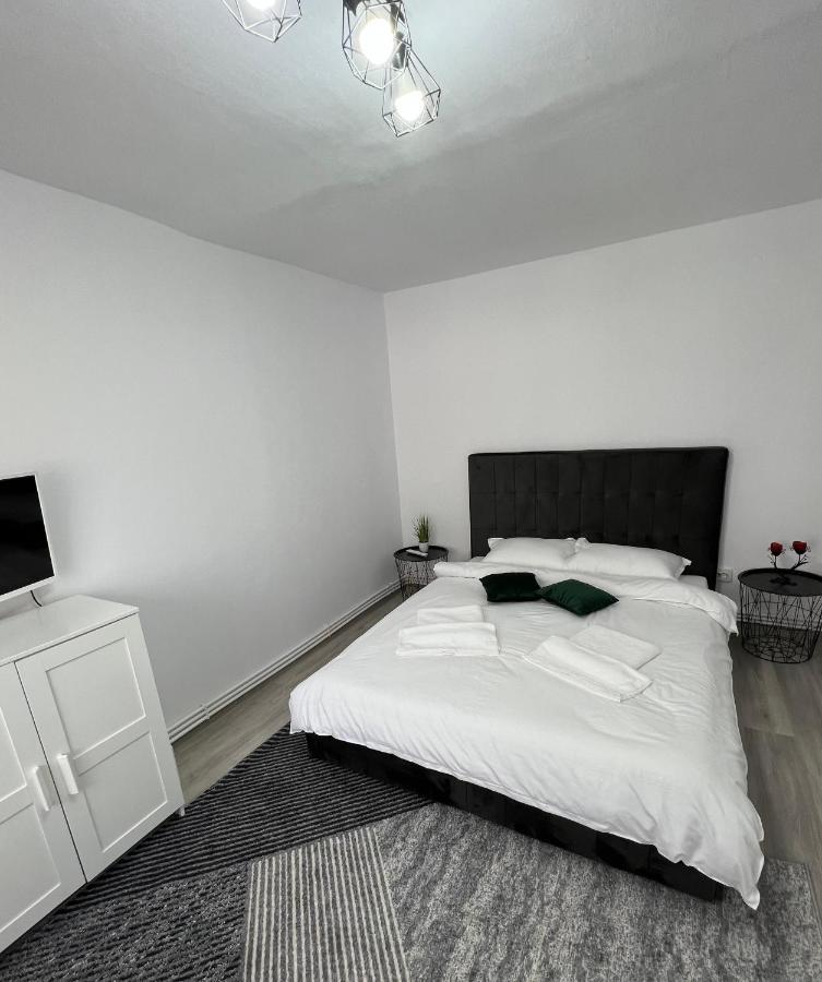 Blue Alpin Straja Apartment Vulcan  Ngoại thất bức ảnh